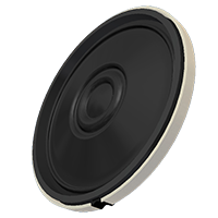 AS Series Speakers (AS03008MR-R)